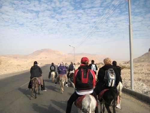 Luxury 7-Night Nile Cruise from Luxor to Aswan and Back