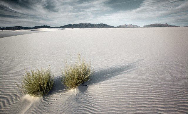 Siwa Oasis Escape: 4 Days of Ancient Mysteries, Golden Deserts & Magical Salt Lakes from Cairo