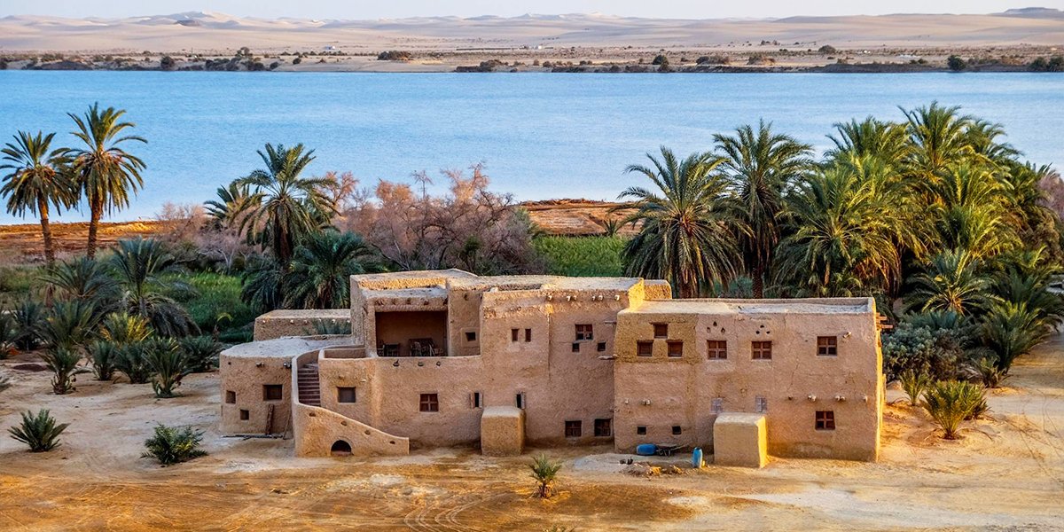 Siwa Oasis Escape: 4 Days of Ancient Mysteries, Golden Deserts & Magical Salt Lakes from Cairo