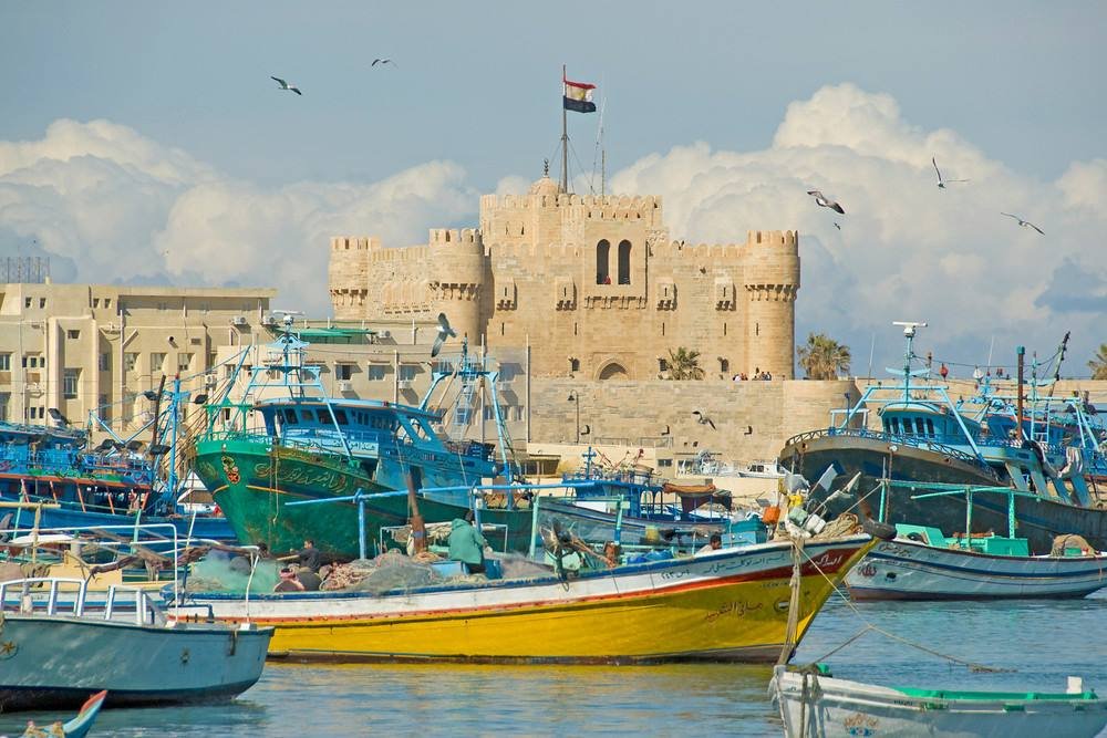 Traveler photo from The Best of cairo&Alexandria 5 Days
