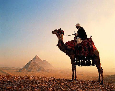 Traveler photo from Discover Egypt, Cairo & Nile Cruise W/internal Flights