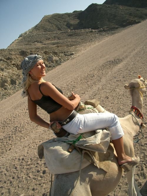 Siwa Oasis Escape: 4 Days of Ancient Mysteries, Golden Deserts & Magical Salt Lakes from Cairo